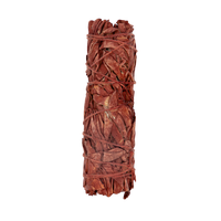 SAUGE ROUGE SANG DE DRAGON