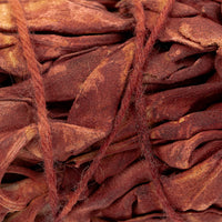 SAUGE ROUGE SANG DE DRAGON
